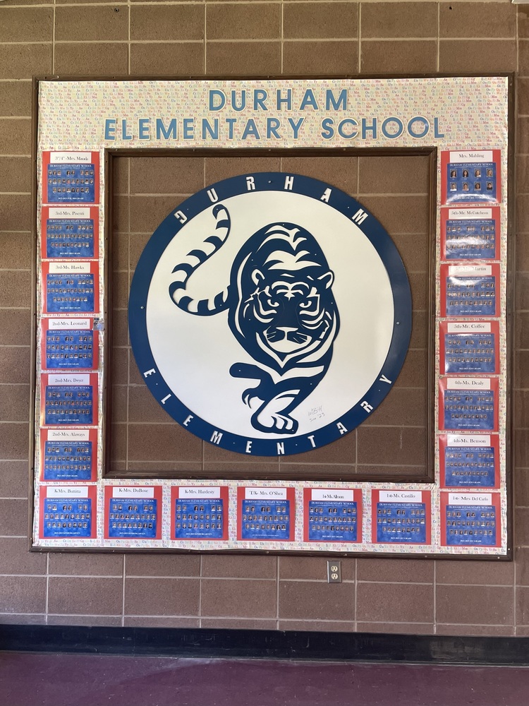 Picture of the DES Tiger in the school hall way. 