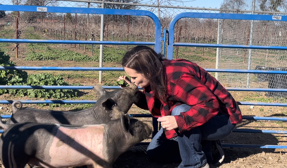 Picture of Susan Ladd kissing a pig