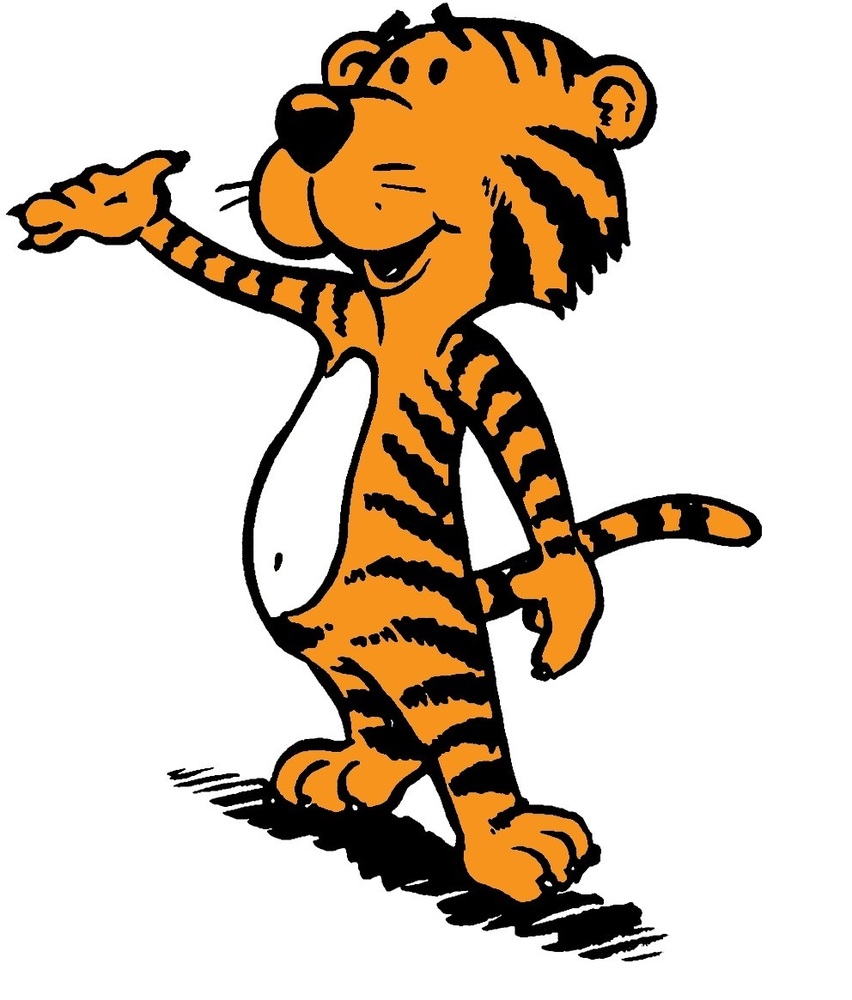 DES Tiger Logo