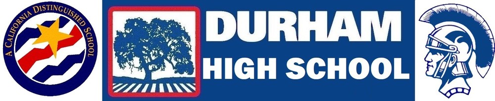 Picture of DHS School Banner 